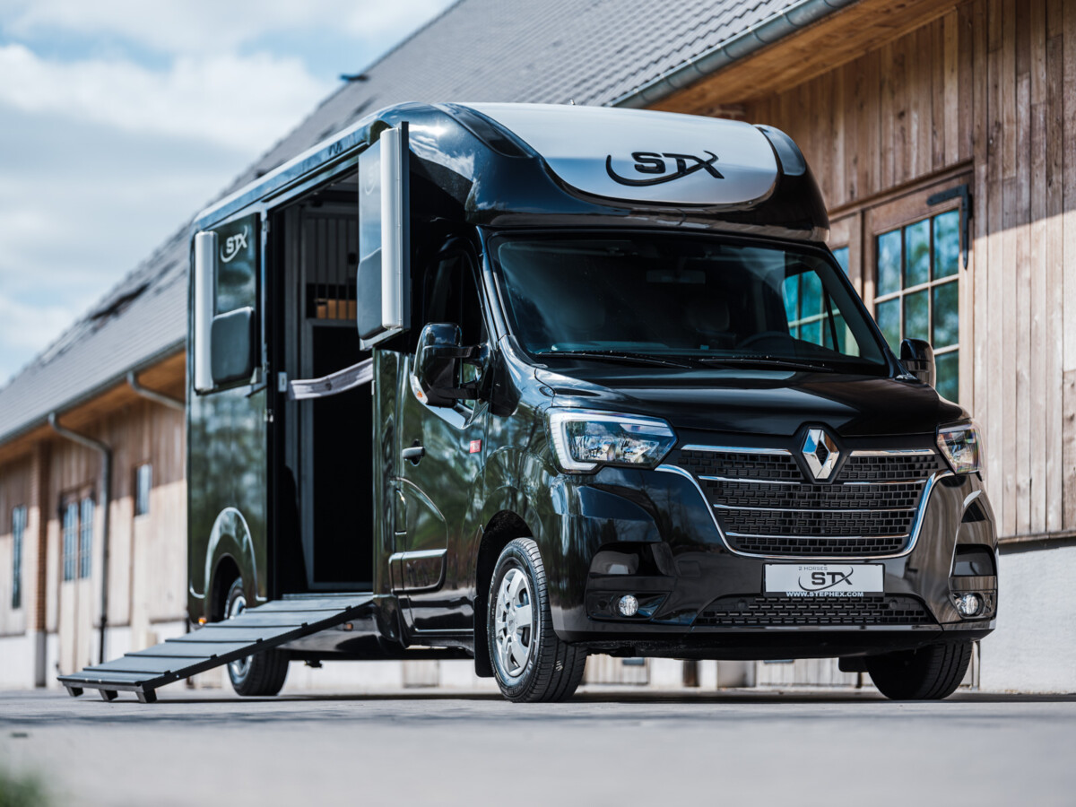 STX Pferdetransporter Schrägansicht — fahrbar mit Klasse B